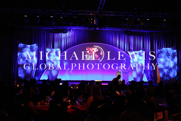 NSHMBA FOUNDERS GALA IN SAN ANTONIO 2013