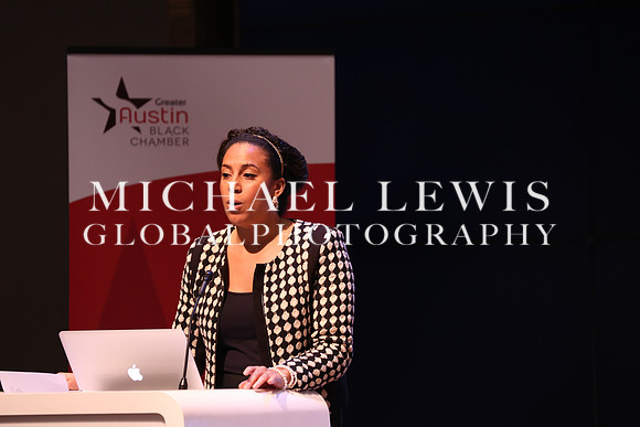 Black Elected Officials 2015 (14)