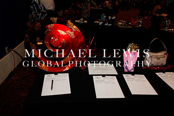 NSHMBA Founders Gala (8)