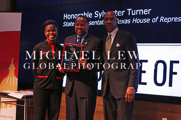 Black Elected Officials 2015 (1)