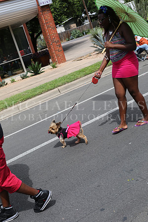 Juneteenth Parade in Austin 2014 (169)
