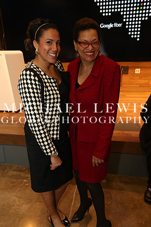 Black Elected Officials 2015 (32)