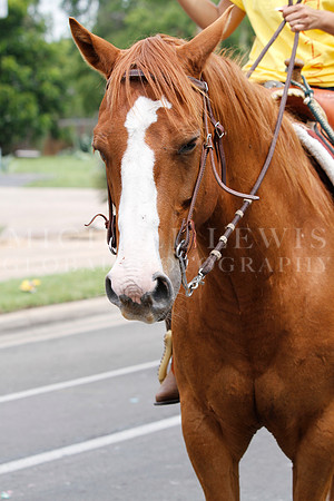Juneteeth Parade in Austin 2014 (112)