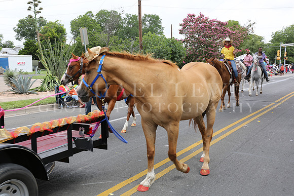 Juneteenth Parade in Austin 2014 (204)