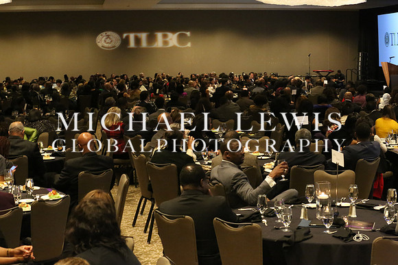 African American Legislative Summit 2015 (238)