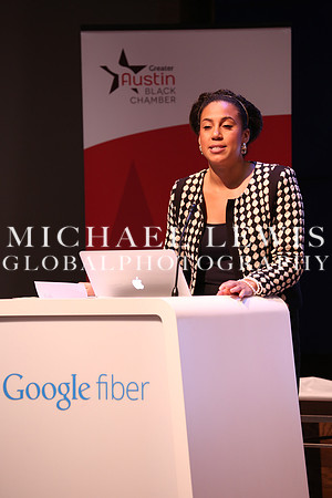 Black Elected Officials 2015 (16)