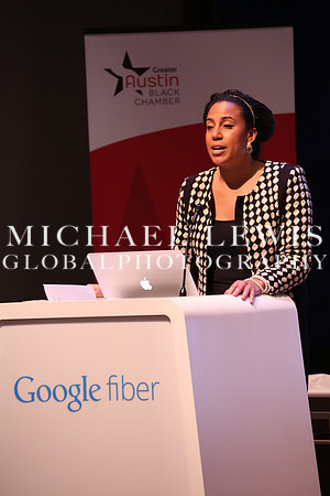 Black Elected Officials 2015 (18)