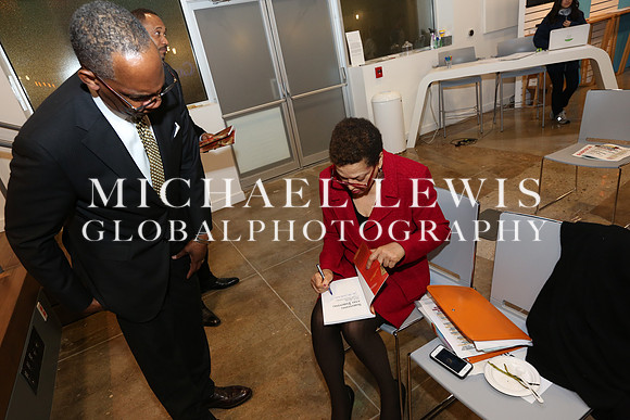 Black Elected Officials 2015 (30)