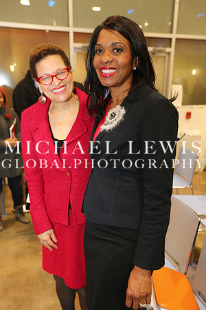Black Elected Officials 2015 (23)