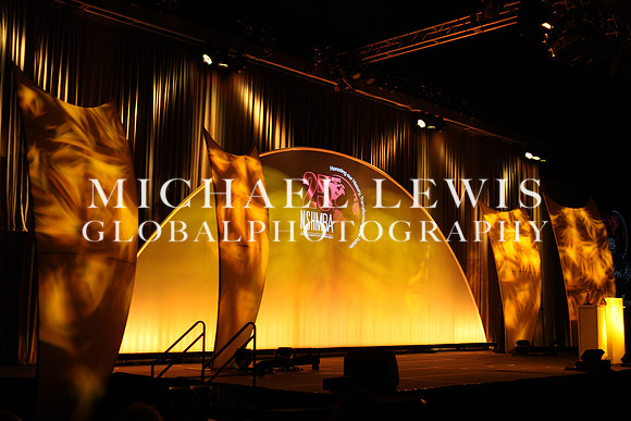 NSHMBA FOUNDERS GALA IN SAN ANTONIO 2013