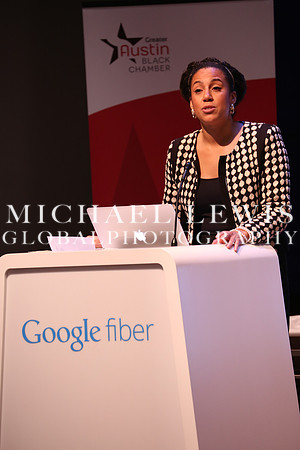 Black Elected Officials 2015 (17)