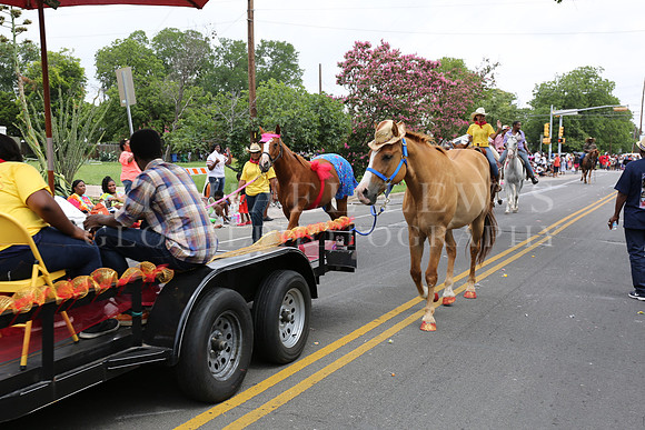 Juneteenth Parade in Austin 2014 (203)